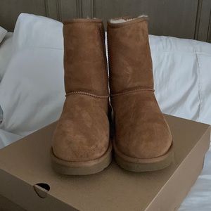 Chestnut Short Uggs